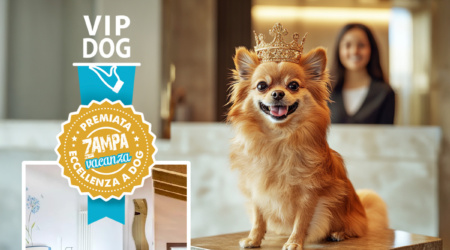 VIP DOG