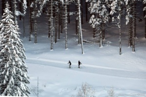 casa-bernardi-panorama10jpg