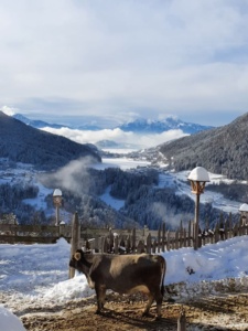 casa-bernardi-panorama23